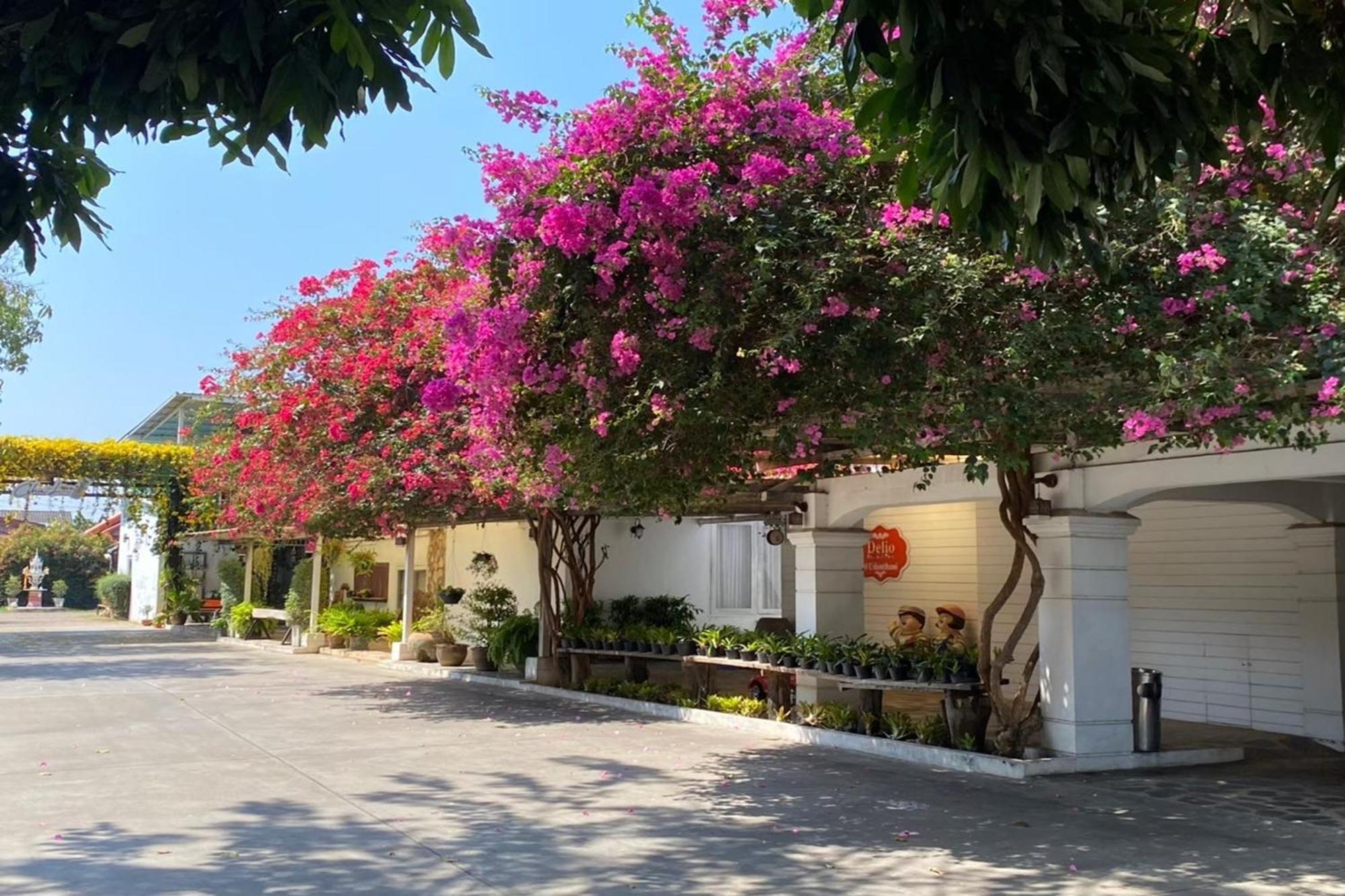 Delio Boutique Hotel Udon Thani Ngoại thất bức ảnh
